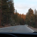 Asphalt paved road in the forest on a sunny day Royalty Free Stock Photo