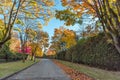 asphalt road in an autumn park with trees and fallen leaves along a green fence Royalty Free Stock Photo