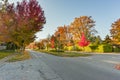 Asphalt road in an autumn street with trees and fallen leaves al Royalty Free Stock Photo