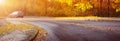 Asphalt road with beautiful trees Royalty Free Stock Photo