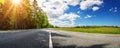 Asphalt road with beautiful trees on the one side and with field of fresh green grass and dandelions on another. Royalty Free Stock Photo