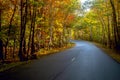 asphalt road in colorful autumn forest on a sunny day. Acadia National Park. USA. Royalty Free Stock Photo