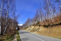 Asphalt road in countryside on sunny autumn day Royalty Free Stock Photo