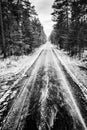 Asphalt road covered with snow leading through the forest. Winter scenery shown in black and white Royalty Free Stock Photo