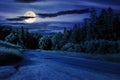 asphalt road with cracks winding through shaded coniferous forest at night