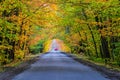 Asphalt road through deciduous, autumn forest. Royalty Free Stock Photo