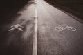 Asphalt path, divided for two parts - one part for cyclists, other for pedastrians.