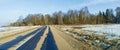 Asphalt road in early spring near the forest.