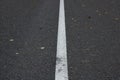 An asphalt road with fallen leaves in an autumn forest. Road markings Royalty Free Stock Photo