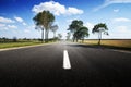 Asphalt road among fields and forests.