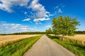 Asphalt road among fields of ripe wheat. Summer day Royalty Free Stock Photo