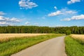 Asphalt road among fields of ripe wheat. Summer day Royalty Free Stock Photo