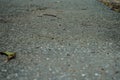 Asphalt road floor for texture and background Royalty Free Stock Photo