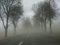 Asphalt road in the fog