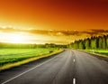 Asphalt road in forest