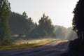 Asphalt road in the forest early misty morning Royalty Free Stock Photo