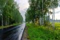 Asphalt road among the forest at sunset. Roads of Russia