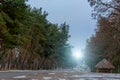The asphalt road in the forest in winter. Near the bus stop and sign. Royalty Free Stock Photo