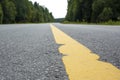 Asphalt road in the forest. Yellow markings on the track Royalty Free Stock Photo