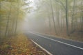 An asphalt road that goes through a misty dark misterious pine f Royalty Free Stock Photo