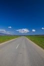 Asphalt road between green fields Royalty Free Stock Photo