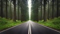 Asphalt road in the green forest