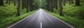 Asphalt road in the green forest