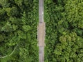 Asphalt road with green tropical forest at countryside of Thailand