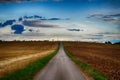 Asphalt road with horizon covered with trees in the evening. Croped agriculture field. Dark cloud,blue sky.