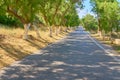 Asphalt road on the island of Crete on a sunny day Royalty Free Stock Photo