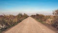 Asphalt road through landscape. Horizon view