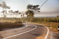 Asphalt road with a lane in the morning. A road with bends and road signs. A winding track