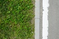 Asphalt Road and Lawn Texture