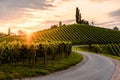 Asphalt road leading through country side of south Austrian Vineyards Royalty Free Stock Photo