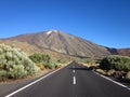 Asphalt road leading to el Teide volcano in the National Park of Tenerife Canary Islands Spain Royalty Free Stock Photo