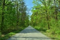 Asphalt road in the middle of a green forest on a sunny day.