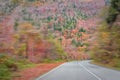 Asphalt road in mountains, around bright autumn forest. Royalty Free Stock Photo