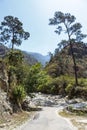 Asphalt road through the mountains in Eastern Bhutan Royalty Free Stock Photo