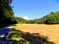 Asphalt road in nature Royalty Free Stock Photo