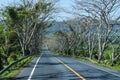 Asphalt road with nature and wildlife views surrounded with naked tropical trees