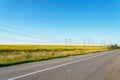 Asphalt road near the field of sunflowers against blue sky Royalty Free Stock Photo