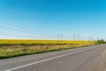 Asphalt road near the field of sunflowers against blue sky Royalty Free Stock Photo