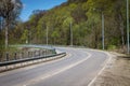 Asphalt road near the forest. It s a sunny summer day