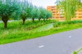 Asphalt road next to a lake with trees Royalty Free Stock Photo