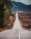Asphalt road panorama in countryside on cloudy day. Road in forest under dramatic cloudy sky. Royalty Free Stock Photo