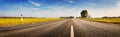 Asphalt road panorama in countryside on sunny autumn day Royalty Free Stock Photo