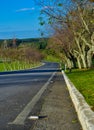 Asphalt road panorama in countryside on sunny autumn evening Royalty Free Stock Photo