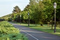 Asphalt road in the park with greenery bushes.