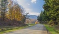 Asphalt road passing through an autumn forest in the mountains Royalty Free Stock Photo