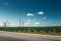 Asphalt road, passing by the green vineyards, picturesque industrial agricultural landscape